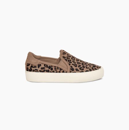 UGG Jass Exotic Beige Sneakers for Women (RIES61429)